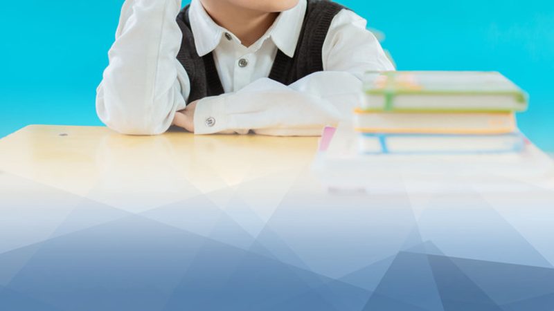 职业培训学历教育，国家认可度揭秘