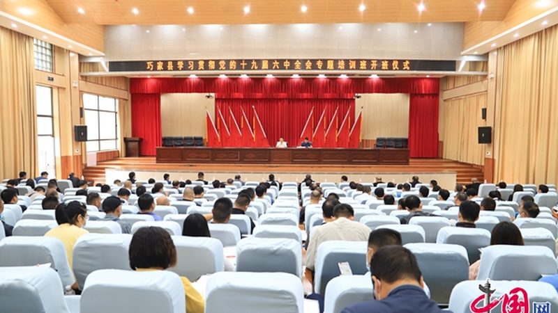 叉车培训费用解析：如何理性选择